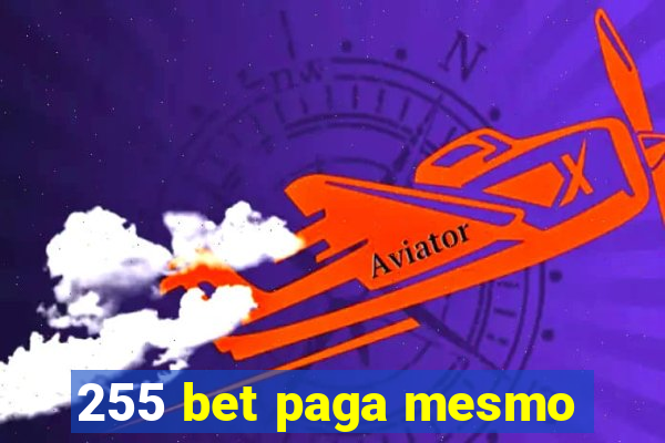 255 bet paga mesmo